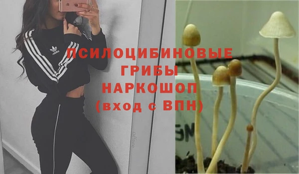 тгк Арсеньев