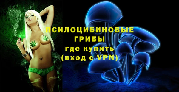тгк Арсеньев
