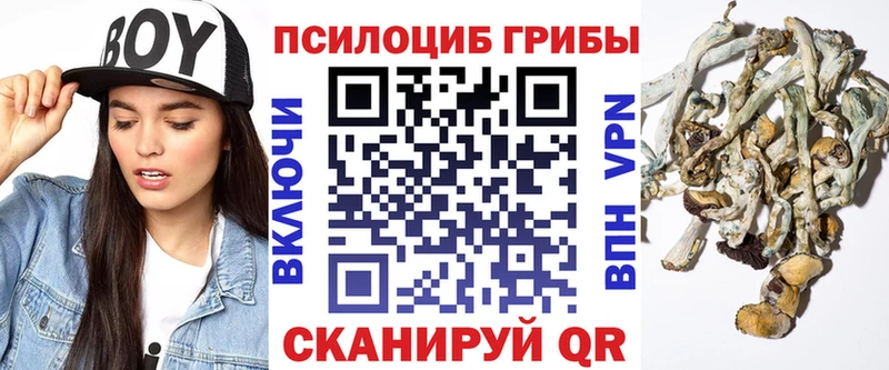 это официальный сайт Дорогобуж Галлюциногенные грибы Cubensis